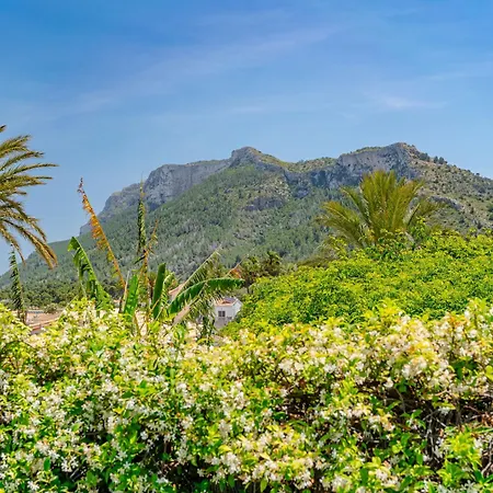 Medussa By Interhome Villa Denia